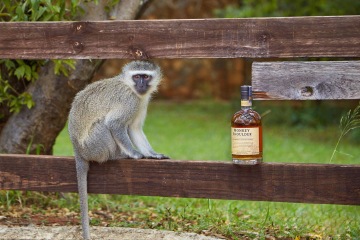 Whisky pod rovníkem i nad polárním kruhem