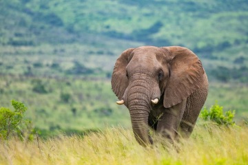 Vánoce ve Vánoční zemi